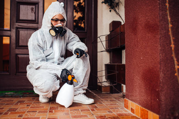 Reliable Fumigation Services contractor in Pirtleville, AZ by Nex Pest Control