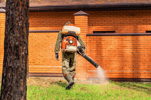 Trusted Mosquito Control service in Pirtleville, AZ - Nex Pest Control